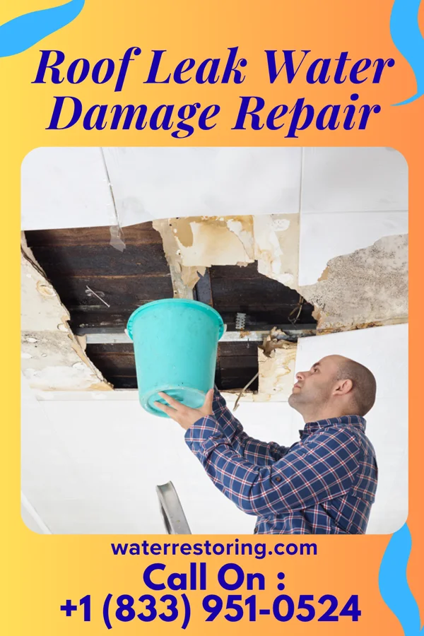 Roof Leak Water Damage Repair in Estancia, NM